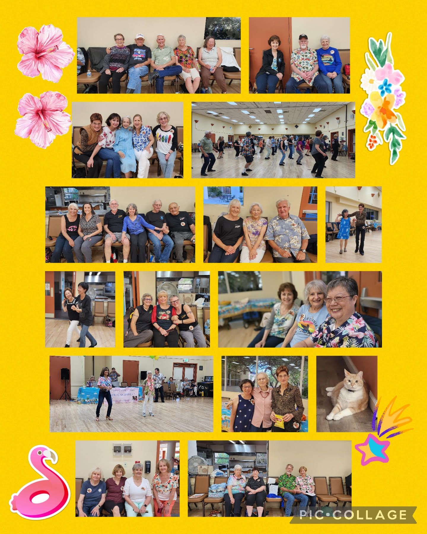 Sorry! Image not available at this time