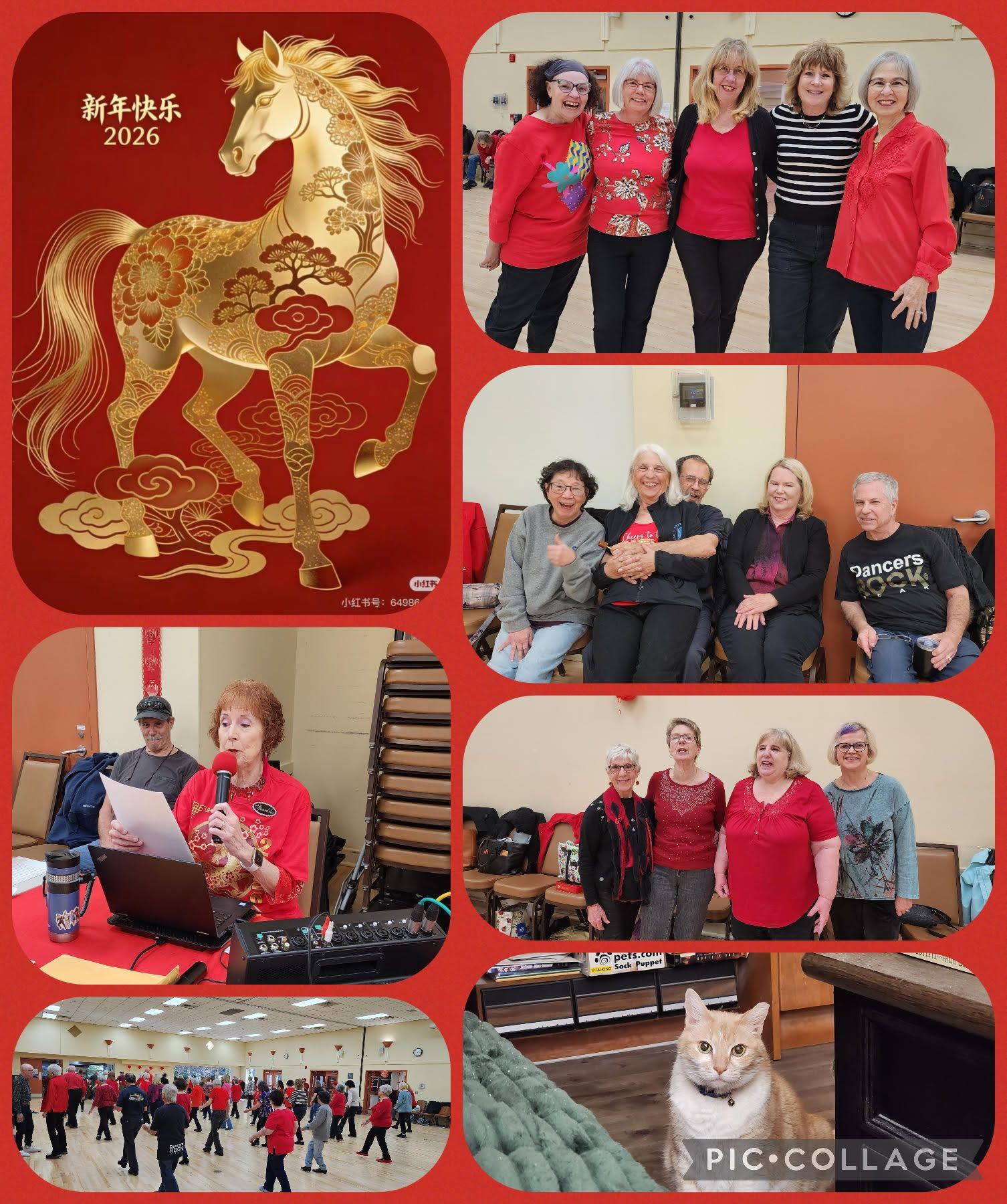 Sorry! Image not available at this time